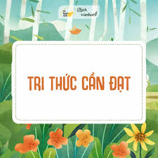 Bìa tiểu thuyết